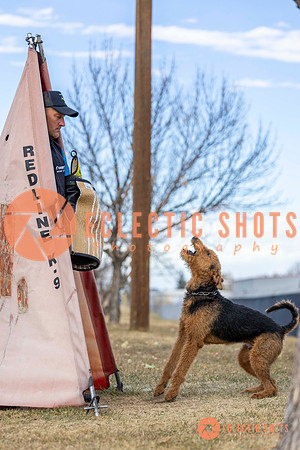 K9Force11.2025-9580