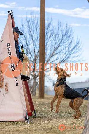 K9Force11.2025-9581