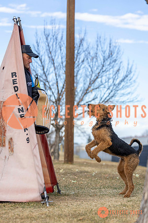 K9Force11.2025-9583