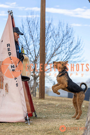 K9Force11.2025-9584
