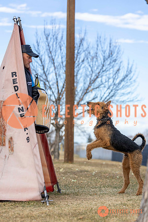 K9Force11.2025-9586