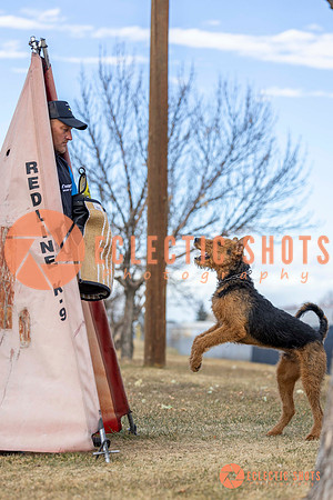 K9Force11.2025-9587
