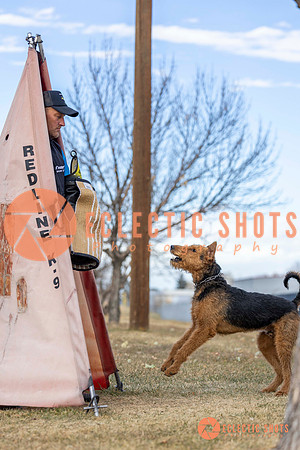 K9Force11.2025-9589