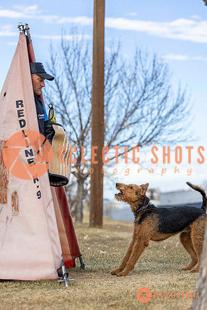 K9Force11.2025-9590