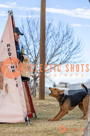K9Force11.2025-9591