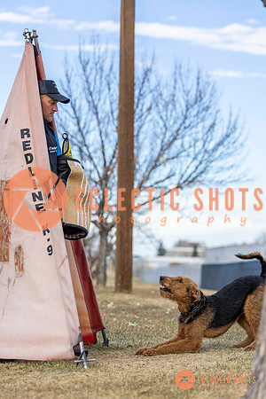 K9Force11.2025-9599