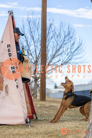 K9Force11.2025-9604