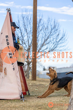 K9Force11.2025-9603