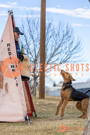 K9Force11.2025-9605
