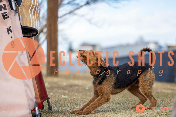 K9Force11.2025-9645