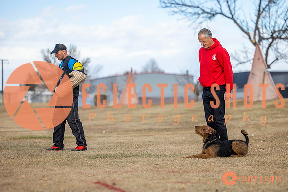 K9Force11.2025-9727