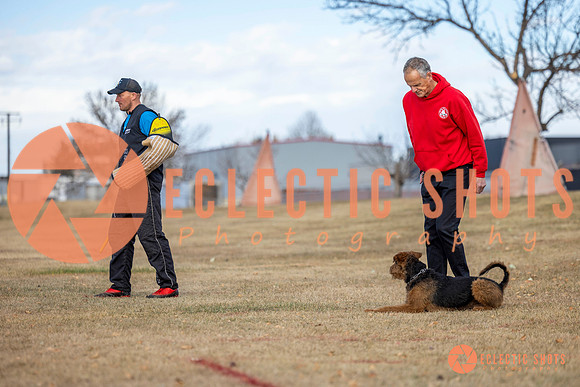 K9Force11.2025-9729