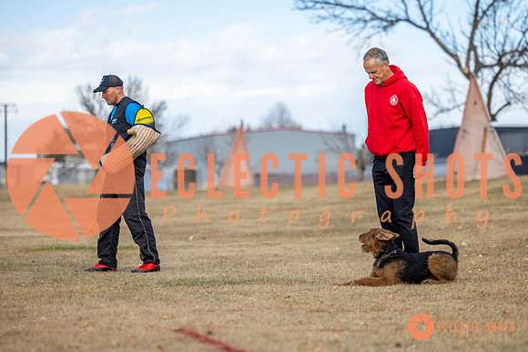 K9Force11.2025-9728