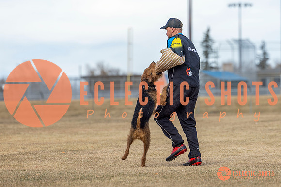 K9Force11.2025-9758