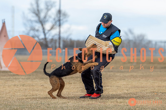 K9Force11.2025-9767