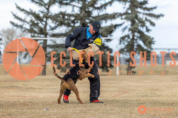 K9Force11.2025-9789