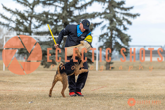 K9Force11.2025-9791