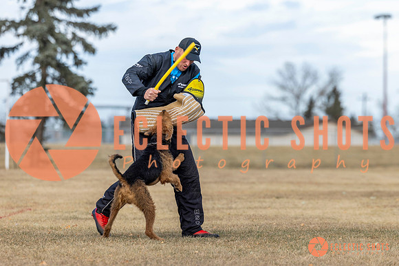 K9Force11.2025-9793