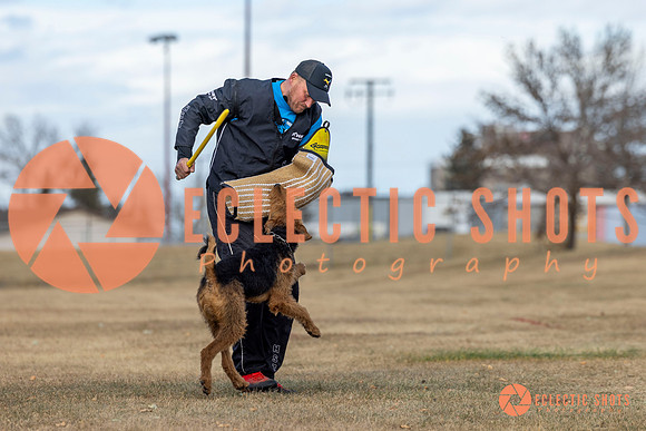 K9Force11.2025-9799