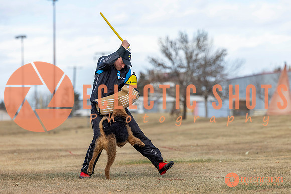 K9Force11.2025-9803