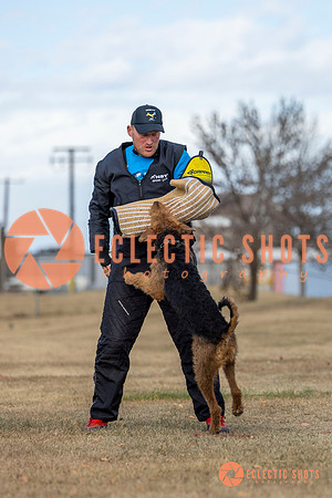 K9Force11.2025-9808
