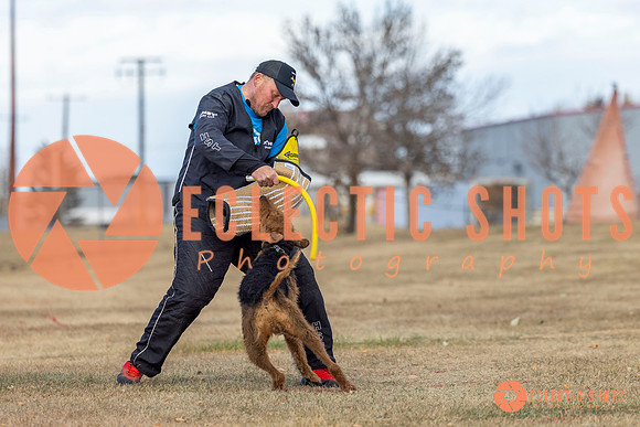 K9Force11.2025-9805