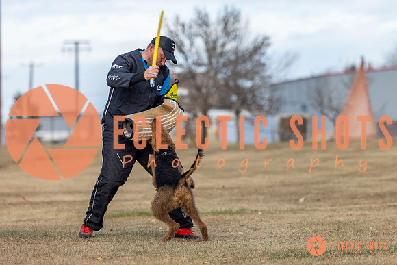 K9Force11.2025-9807