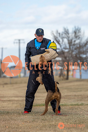 K9Force11.2025-9810