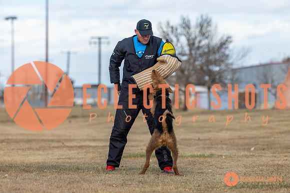 K9Force11.2025-9812