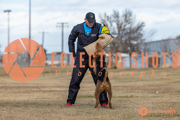 K9Force11.2025-9814