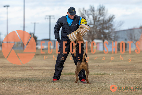 K9Force11.2025-9816