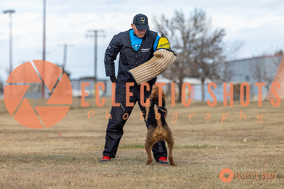 K9Force11.2025-9820