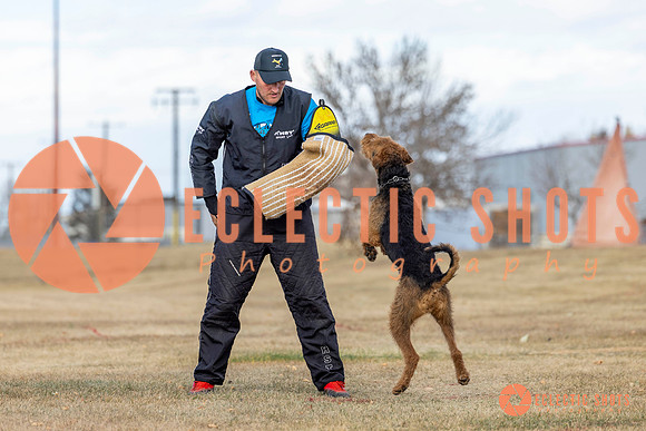 K9Force11.2025-9837