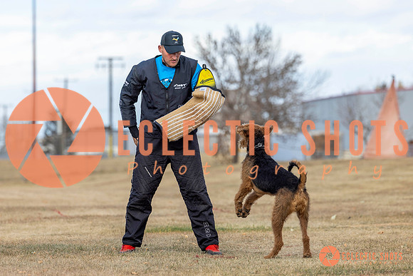K9Force11.2025-9839