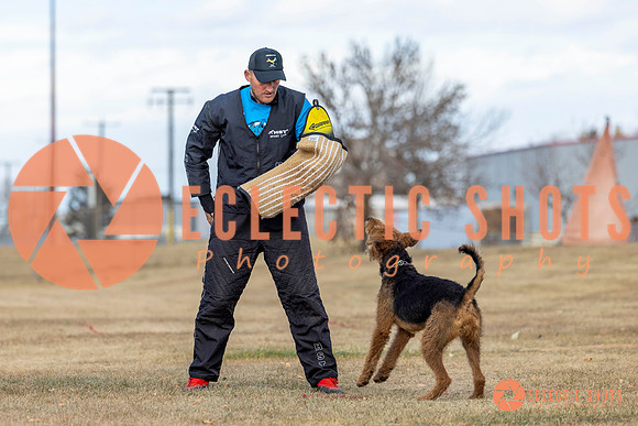 K9Force11.2025-9841
