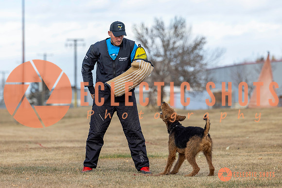 K9Force11.2025-9842