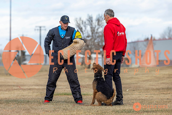 K9Force11.2025-9852