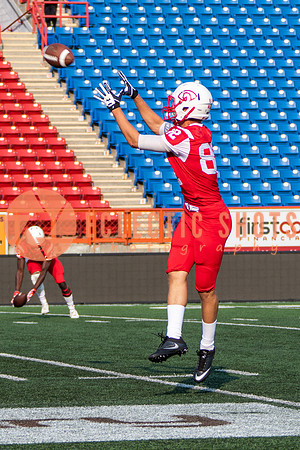 CalgaryColts-2334