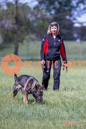 2025-K9Force-MayExams-Kaia-7491