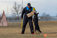 K9Force11.2025-2
