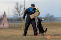 K9Force11.2025-2-3