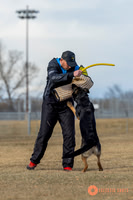 K9Force11.2025-2-4
