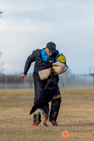 K9Force11.2025-2-9