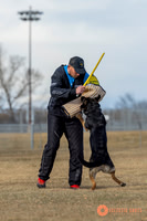 K9Force11.2025-2-5