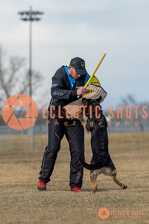 K9Force11.2025-2-5
