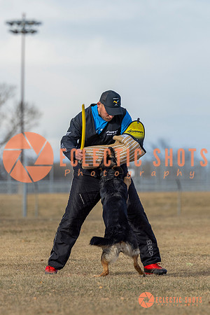 K9Force11.2025-2-8