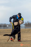 K9Force11.2025-2-10