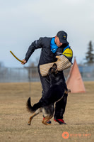 K9Force11.2025-2-12