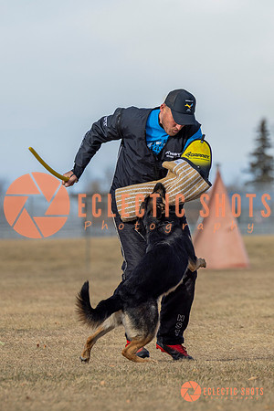 K9Force11.2025-2-12