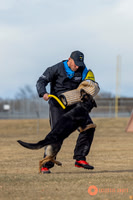 K9Force11.2025-2-11